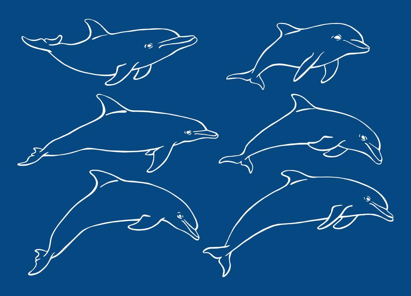 conjunto de delfines. ilustración dibujada a mano convertida en vector. vector con animal bajo el agua.