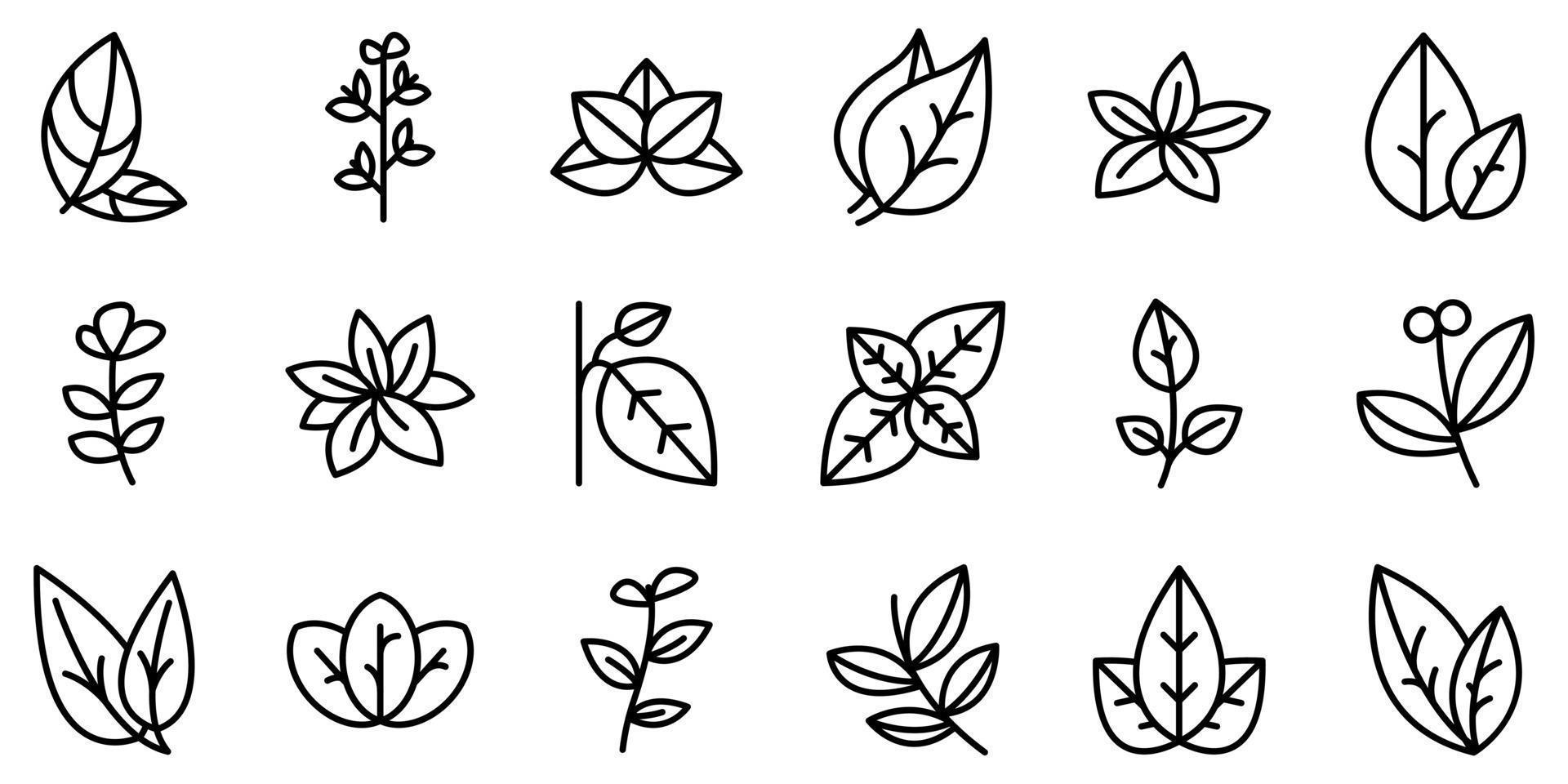 Oregano icons set outline vector. Herb aroma vector