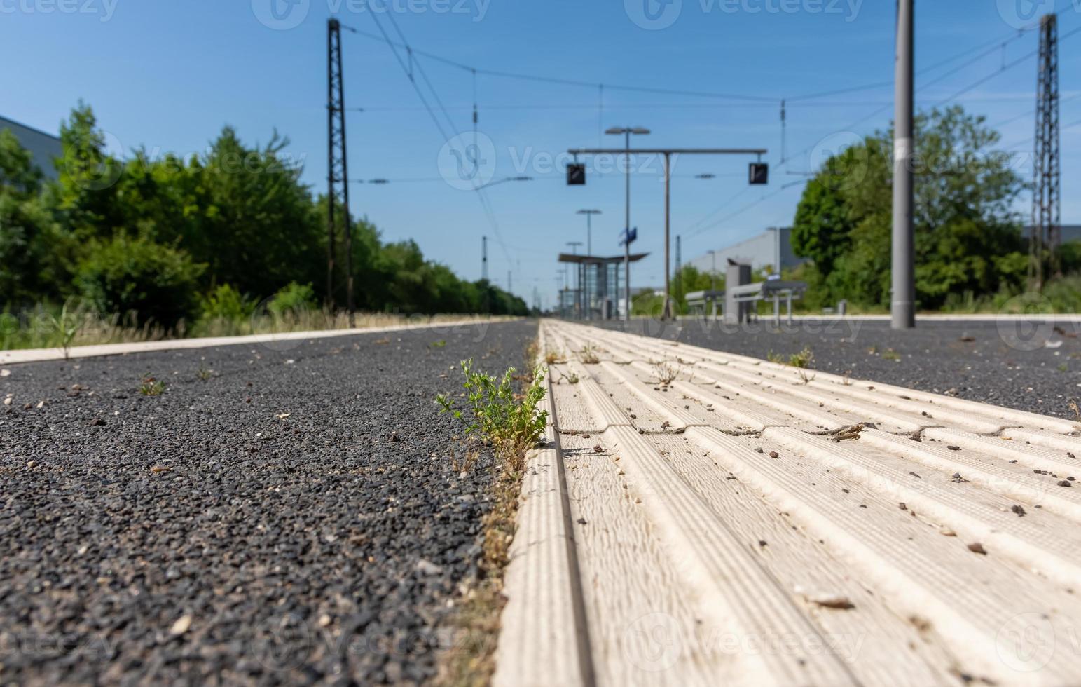 weeds on a platform in summer photo