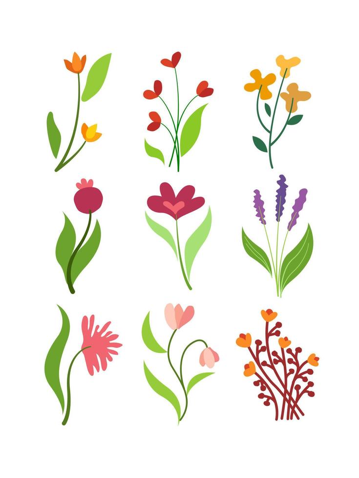 aesthetic flower set design vector
