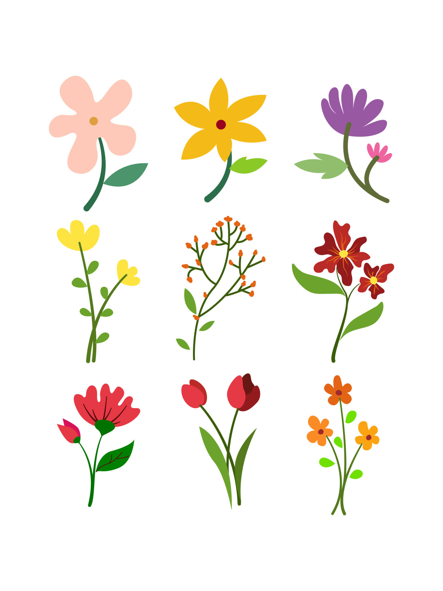 aesthetic flower set design 8989210 Vector Art at Vecteezy