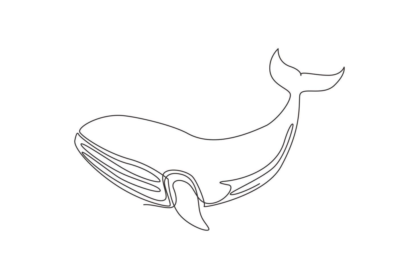 dibujo de una sola línea pez ballena salvaje nadando en la vida marina.  mascota de animales