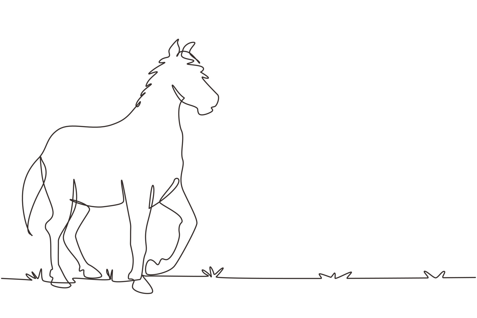 Line art Arabian horse Drawing Pony Stallion, parting line, horse, white  png | PNGEgg