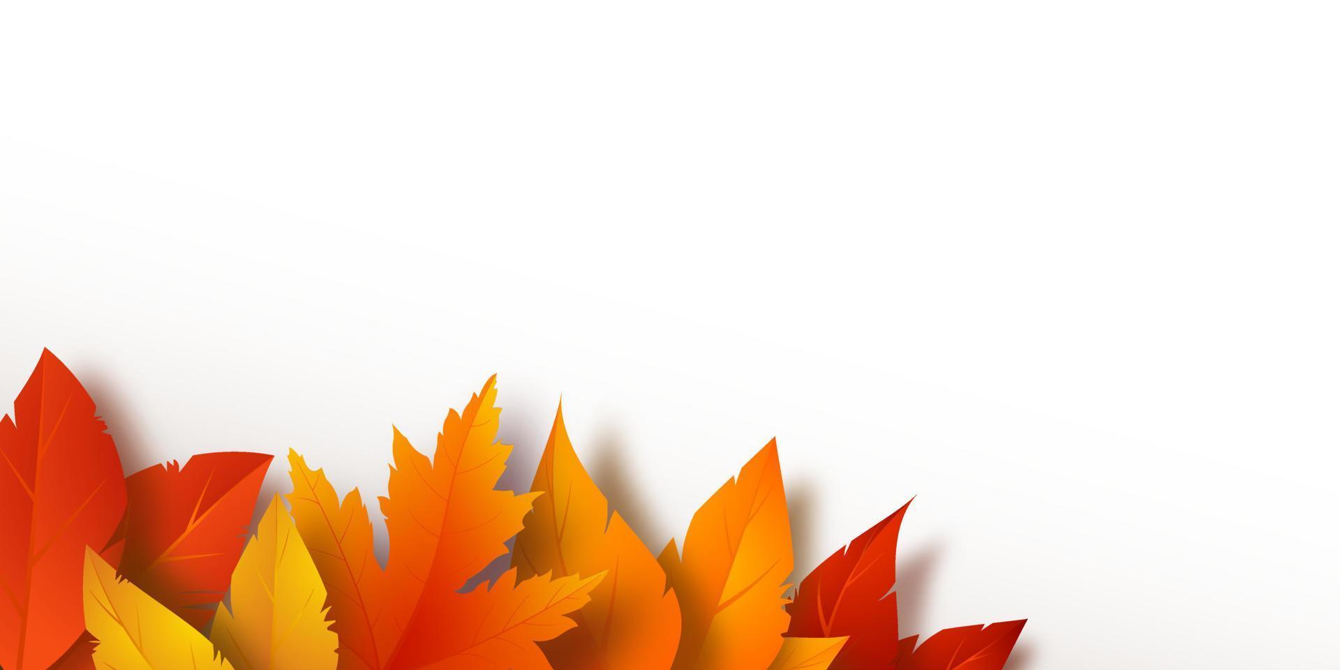 hojas amarillas, rojas y naranjas realistas. follaje de otoño sobre un fondo blanco. ilustración vectorial vector