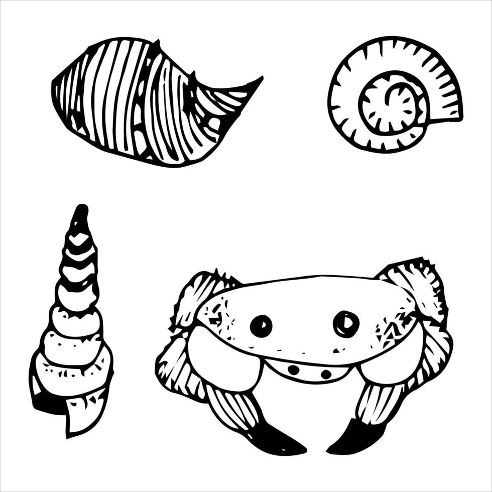 Vector set of crab and shell doodles. Hand-drawn on a white background. For lovers of the sea and recreation, for banners, wallpaper, decorative packaging, fabric design.