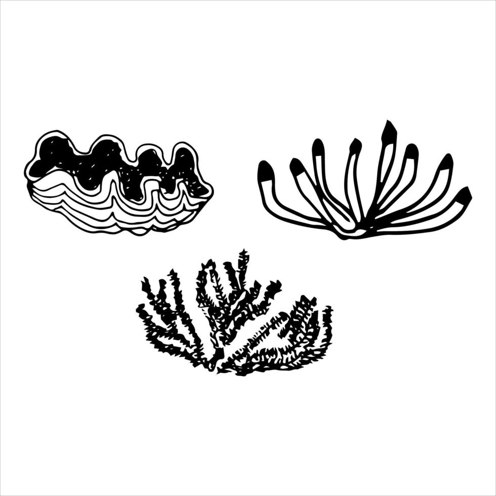 Vector set of doodles sea corals. Different shapes, different to the touch.