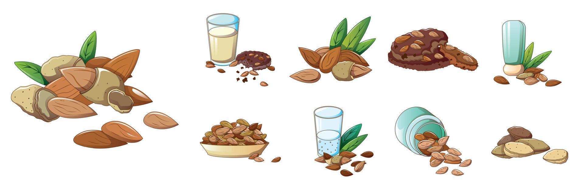 Almond icons set, cartoon style vector