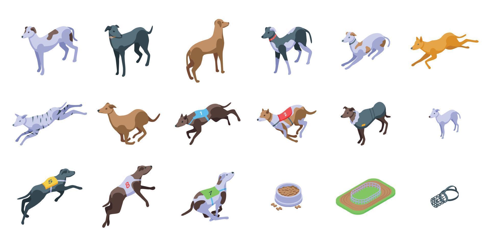Greyhound icons set isometric vector. Whippet animal vector