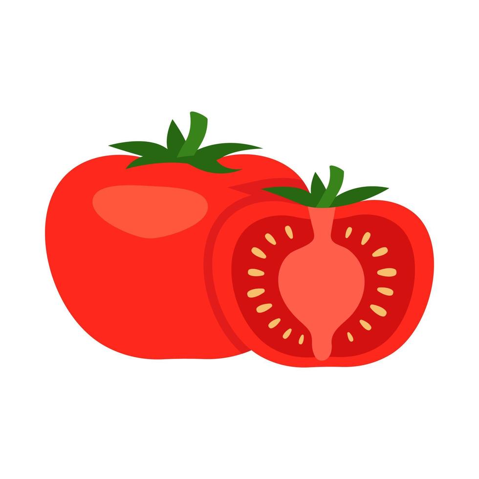 Tomate entero y medio cortado. cortar las verduras en trozos. ensalada de cocina tomate de comida saludable. ilustración vectorial vector