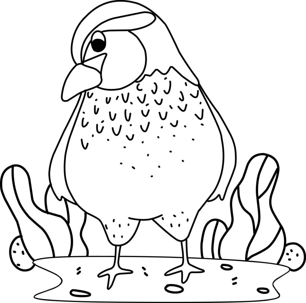 colorear página alfabetos animal dibujos animados codorniz vector