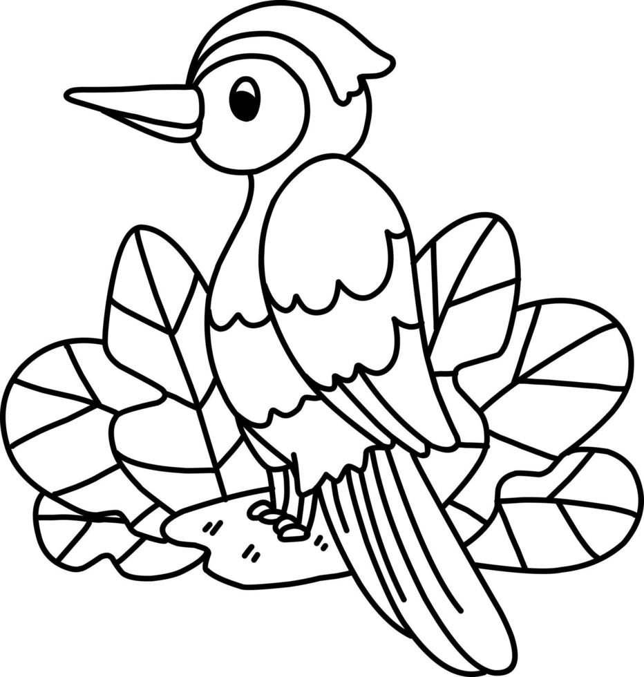 coloring page alphabets animal cartoon woodpecker vector