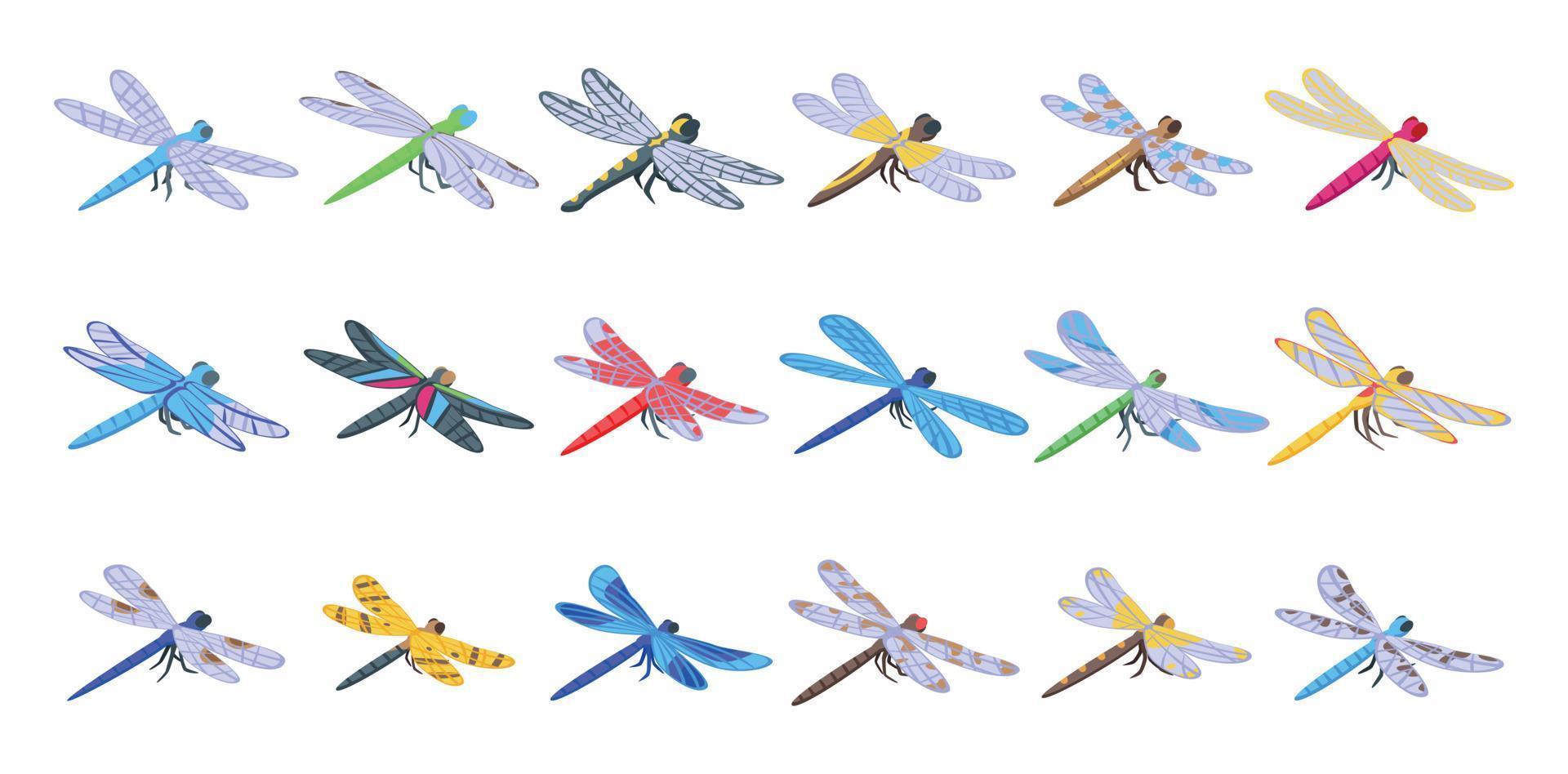 Dragonfly icons set isometric vector. Nature animal vector