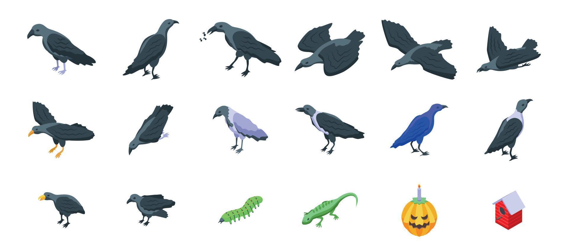 Raven icons set isometric vector. Animal bird vector