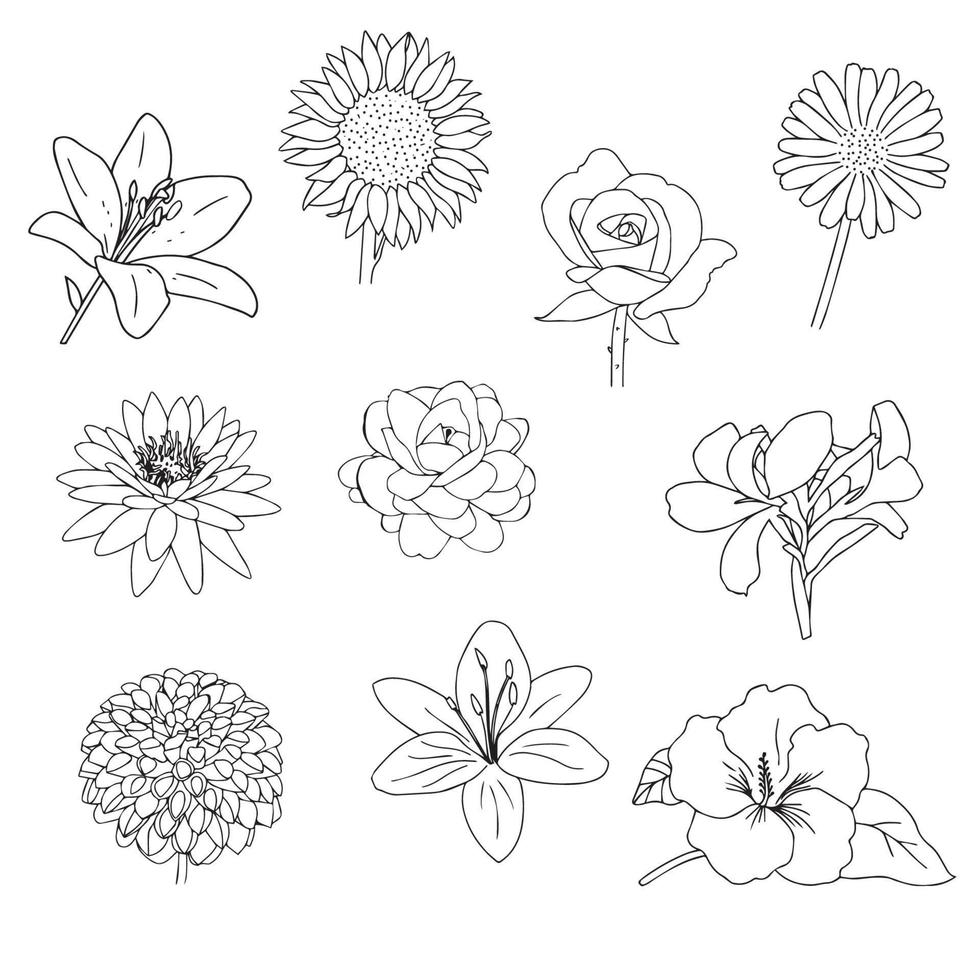 Set of flowers drawn hand with black outline on white background isolate. vector