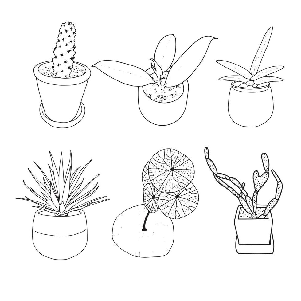 Set of Home plants, trendy Air purification trees drawn hand vector illustration with black outline Monstera, Aloe vera, snake plant, Green Sansevieria and Cactus. Stylish hipster room decor. isolate