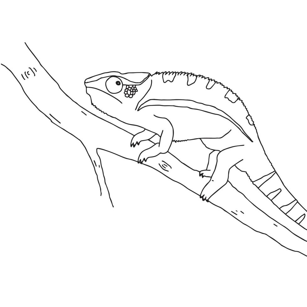 Chameleon in black line. Linear drawing, coloring. A simple chameleon image is a template. vector