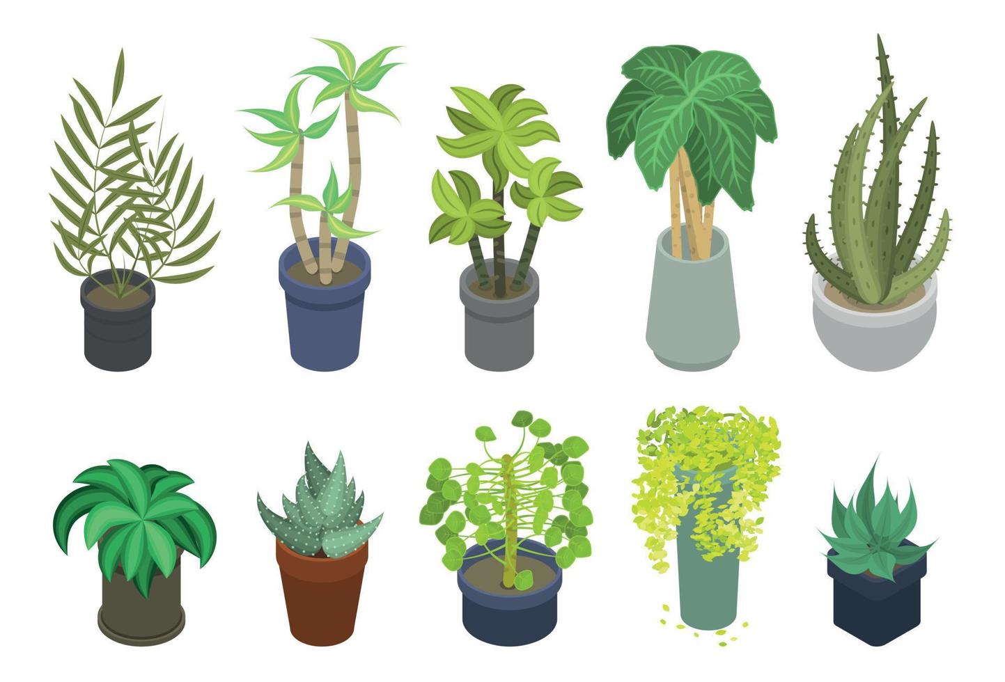 Houseplants icons set, isometric style vector