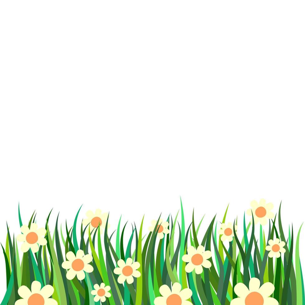 Floral Daisy Flower Page Border vector