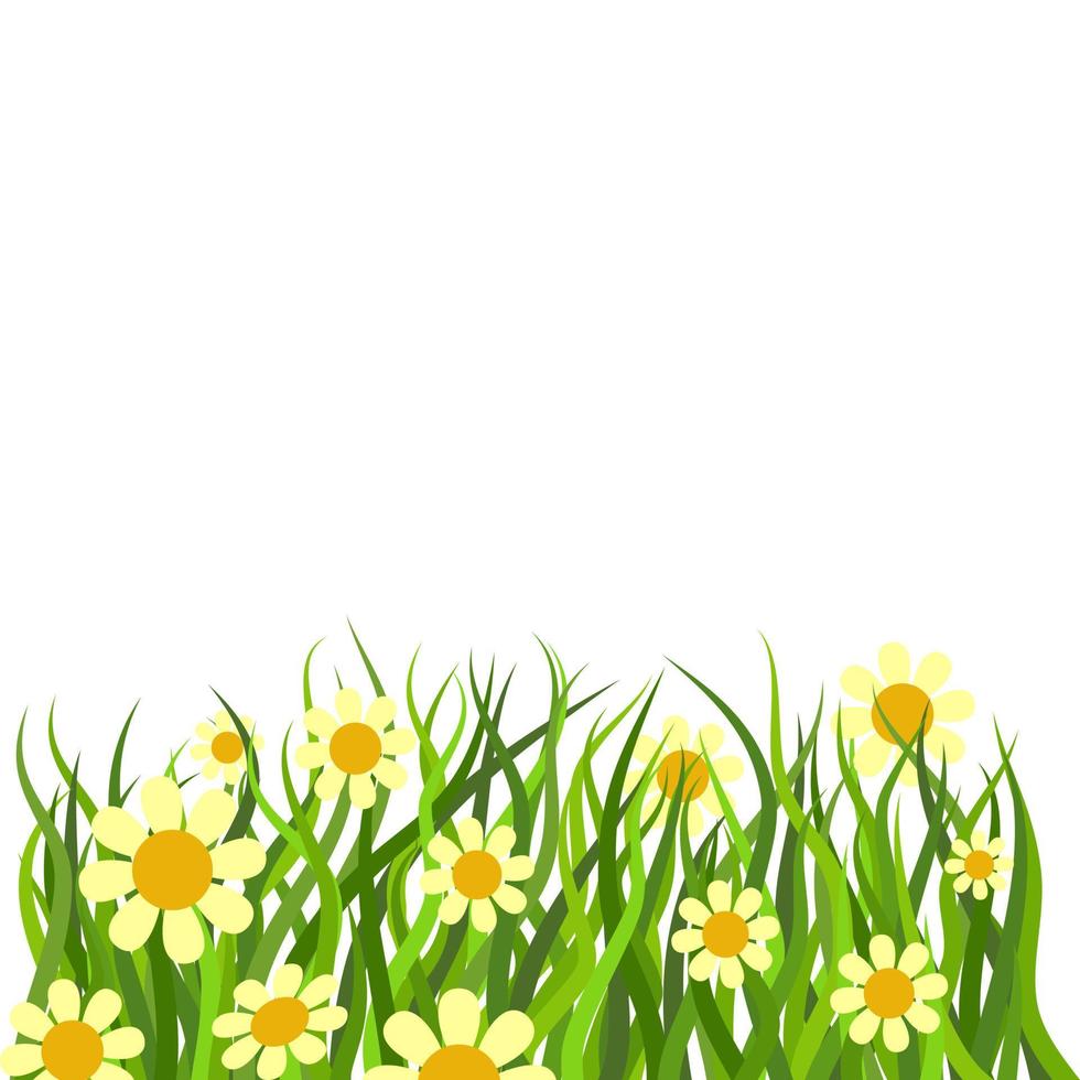 Yellow Daisy Flower Page Border Decoration vector