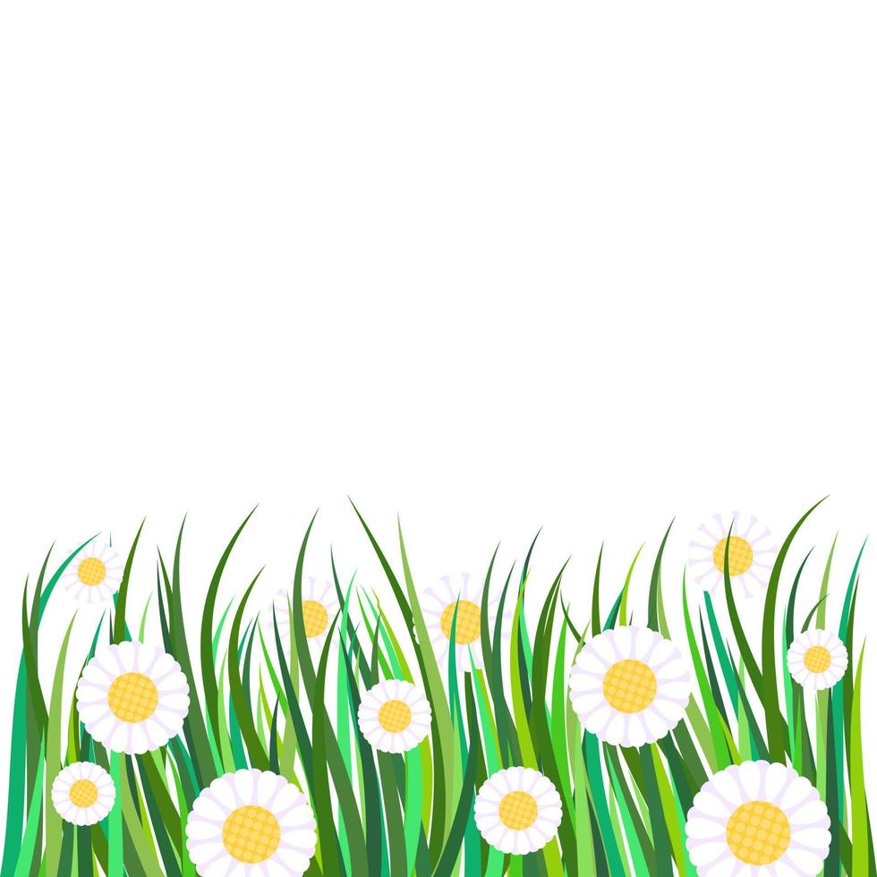 Daisy Flower Meadow Border Decor vector