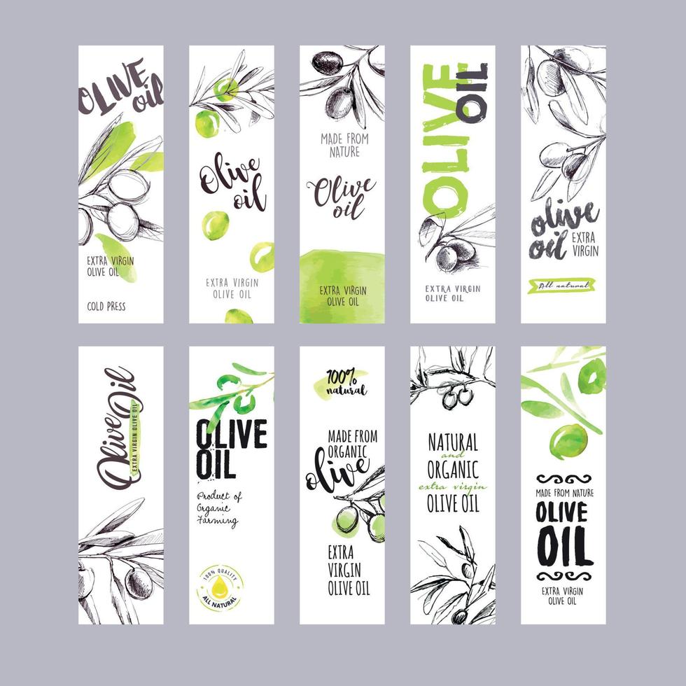 Set of hand drawn watercolor olive oil labels. Vector illustrations concepts for olive oil packaging.