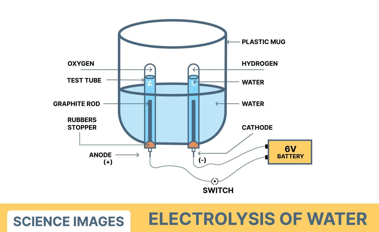 Electrolysis of water vector