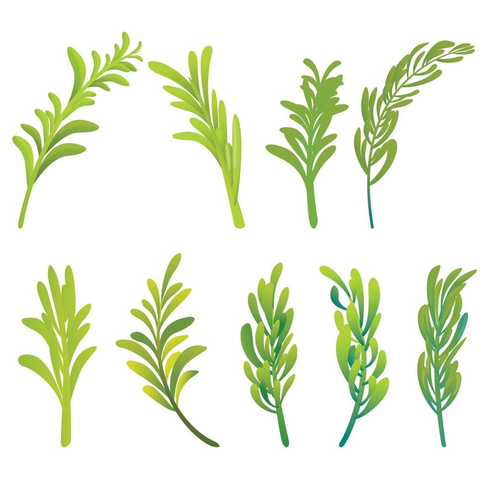 Rosemary icons set, cartoon style vector