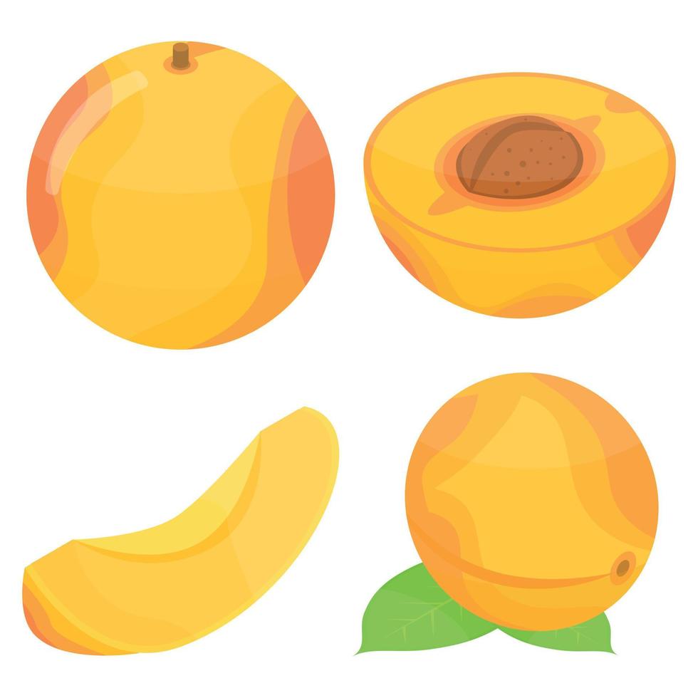 Apricot icons set, isometric style vector