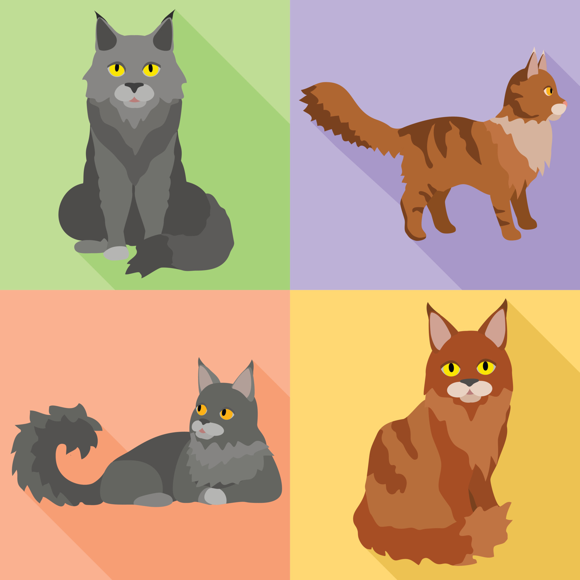 Maine coon cat icon, flat style 14208397 Vector Art at Vecteezy