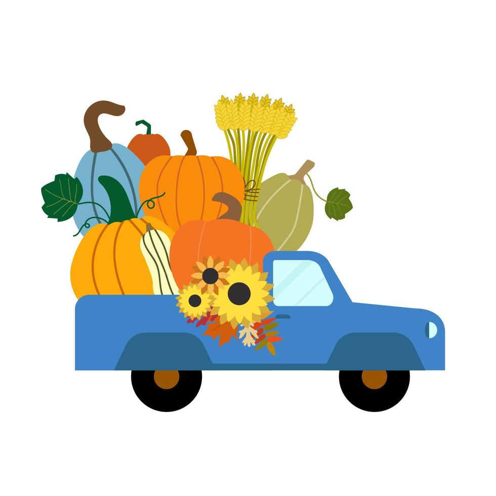 Blue harvest truck vector illustration. Set of pumpkins, wheat and sunflowers on white background. Autumn garden themed design in cartoon style.