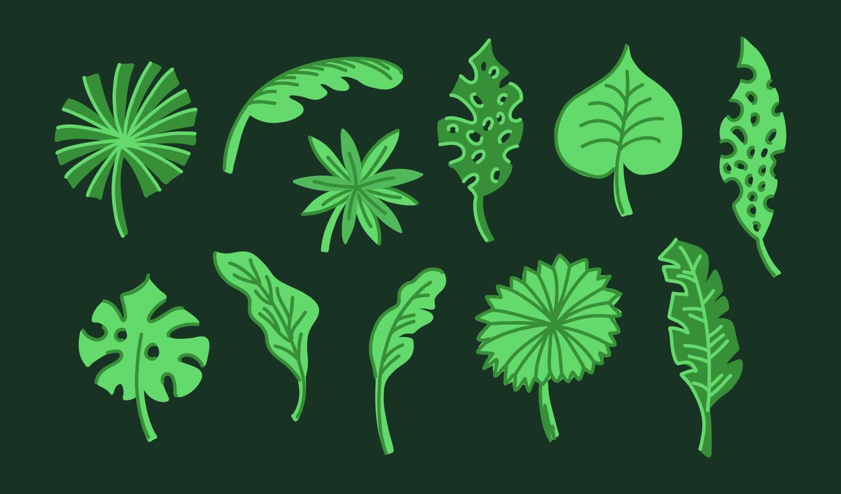 Set with exotic tropical leaves of different shapes vector