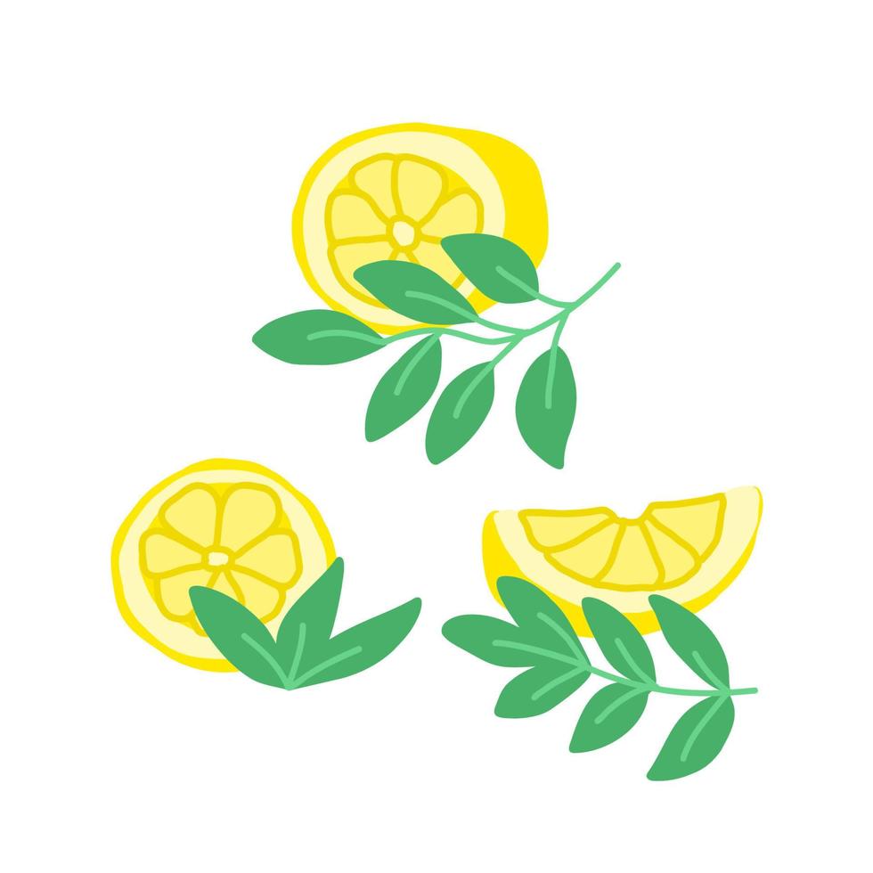 Set clip art of lemons with leaves vector
