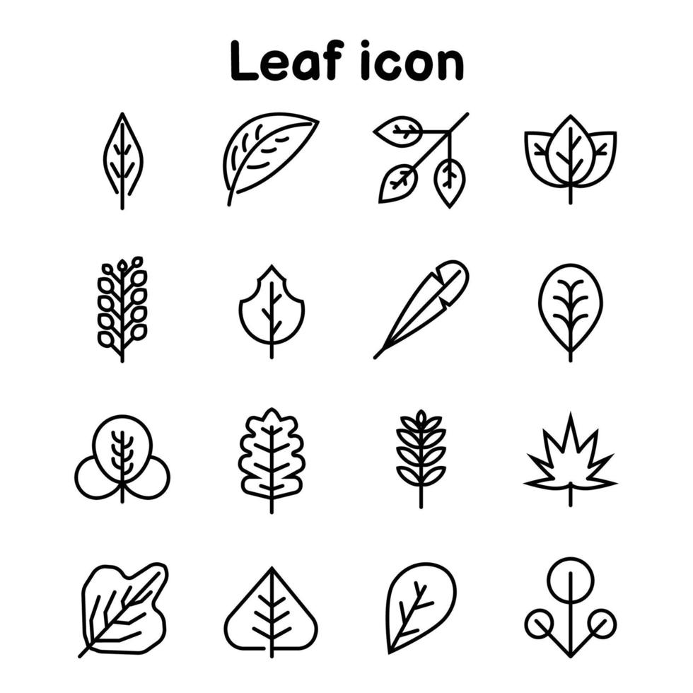 Leaves icon outline set isolated on white background, season nature leaf concept, autumn and spring, vector illustration.