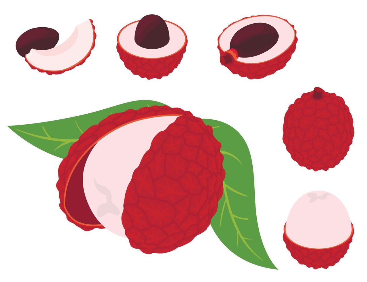 Lychees icons set, isometric style vector