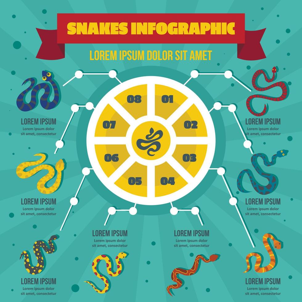 Snake infographic concept, flat style vector