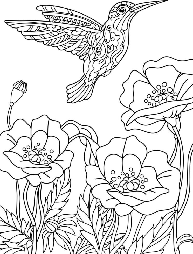 Hummingbird Coloring Page With Flowers For Adults vector