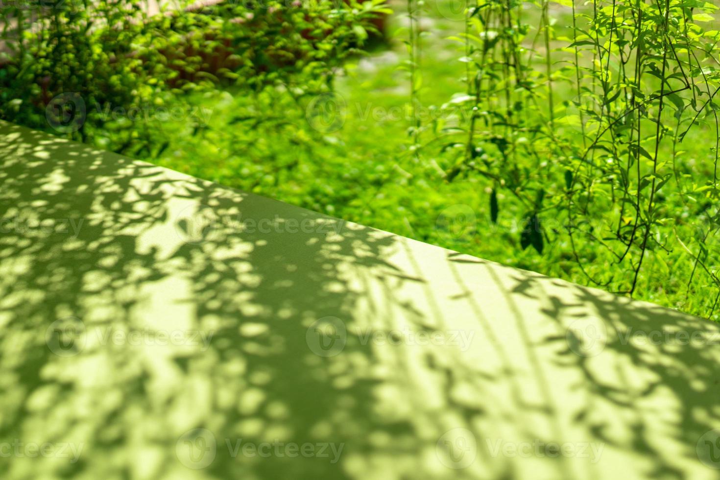 A part of green bed beside the vine and garden with the light and shadow. photo