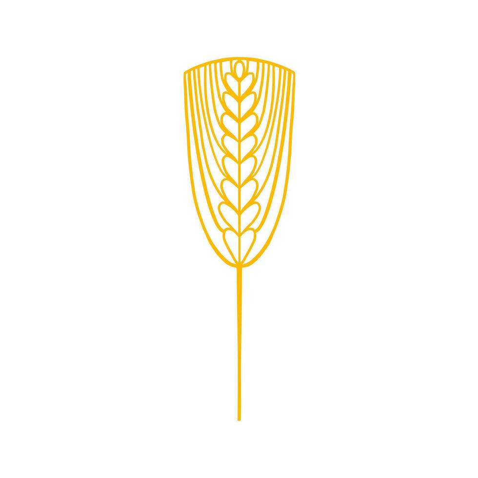 Image of wheat spikelets. Vector illustration for the design of bakery packaging, for the production of rye bread flour