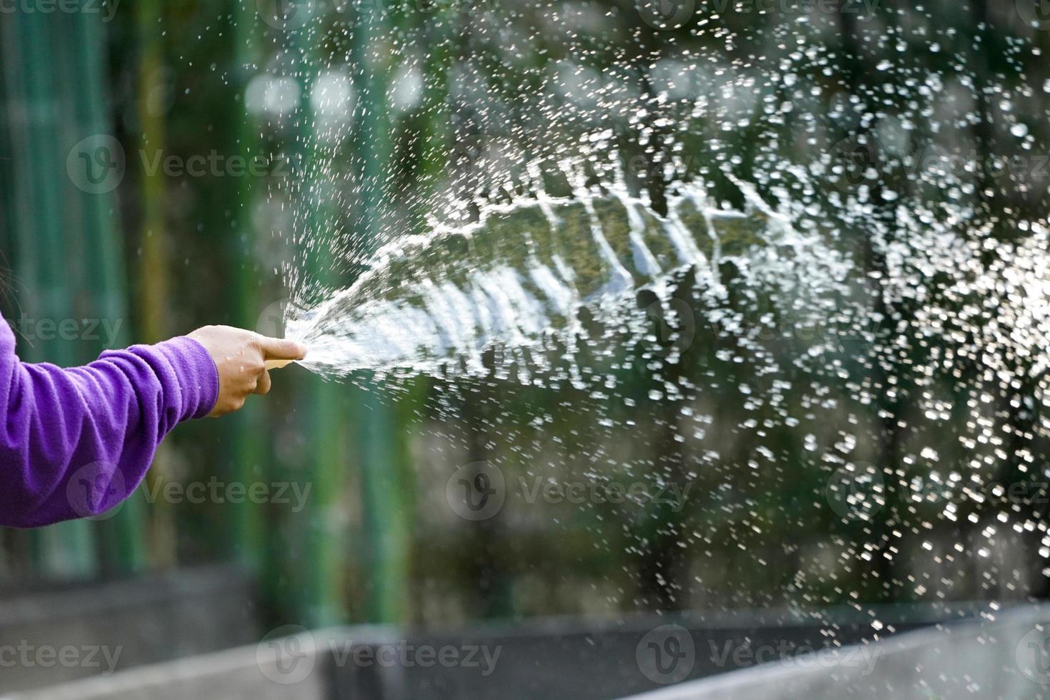 Graden worker taking care the plant in the garden. photo