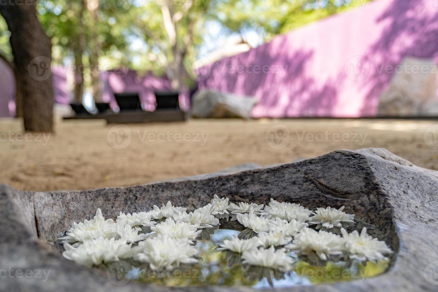 flores blancas flotando en el agua en la gran piedra del jardín zen púrpura. foto