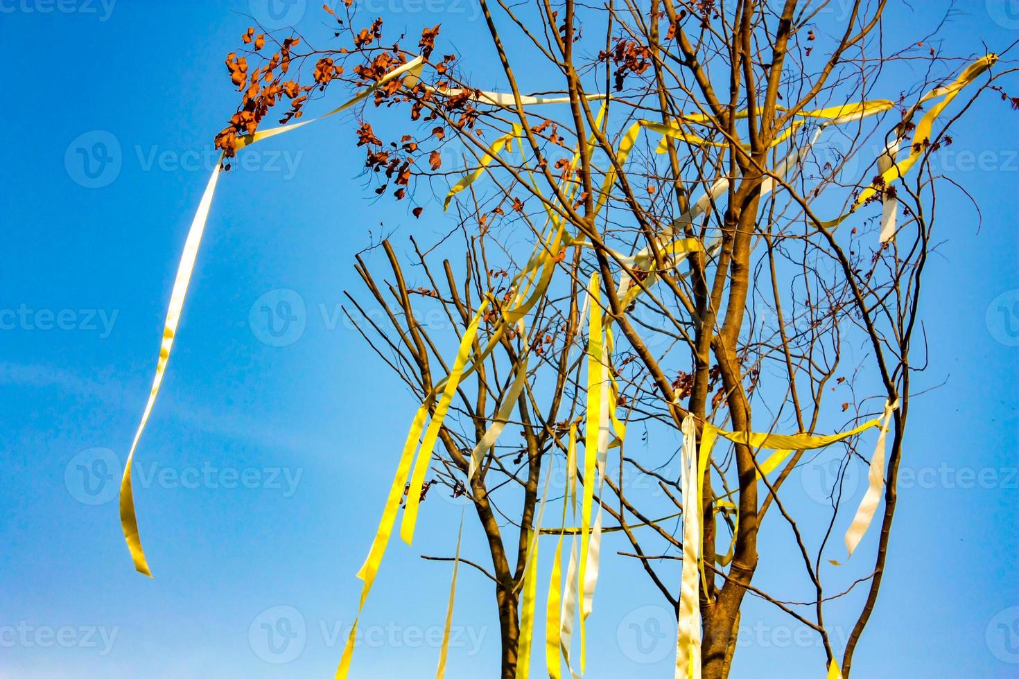 Dry tree with the yellow ribbin on it in the open sky. photo