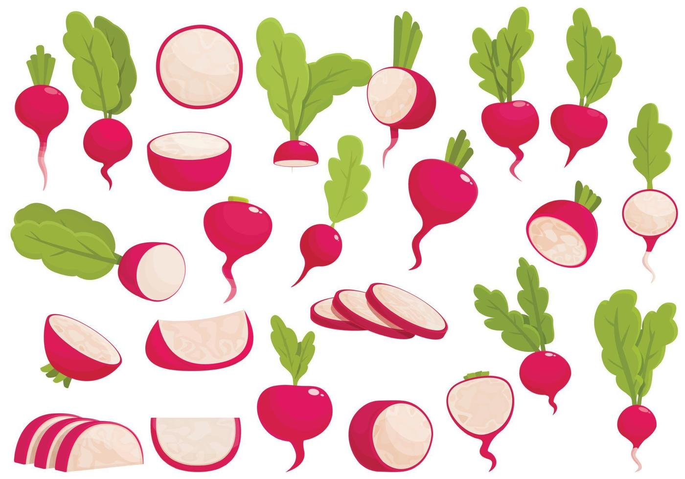 Radish icons set cartoon vector. Slice agriculture vector