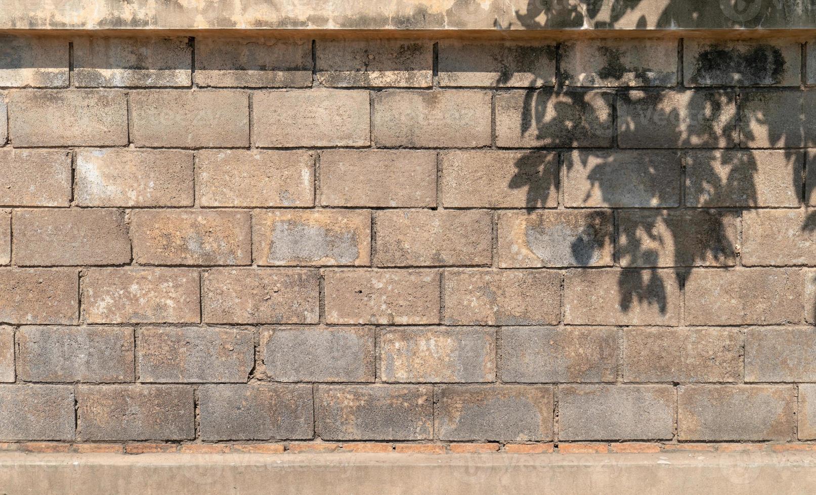 Old vintage dusty and dirty cement brick wall at outdoor field with tree shadow on the top right at corner. photo