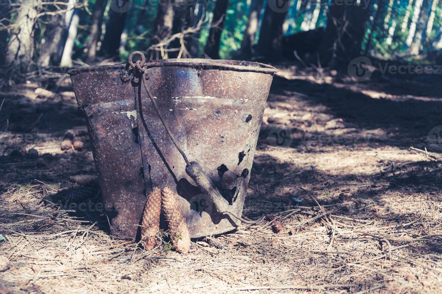 old metal bucket in a forest photo