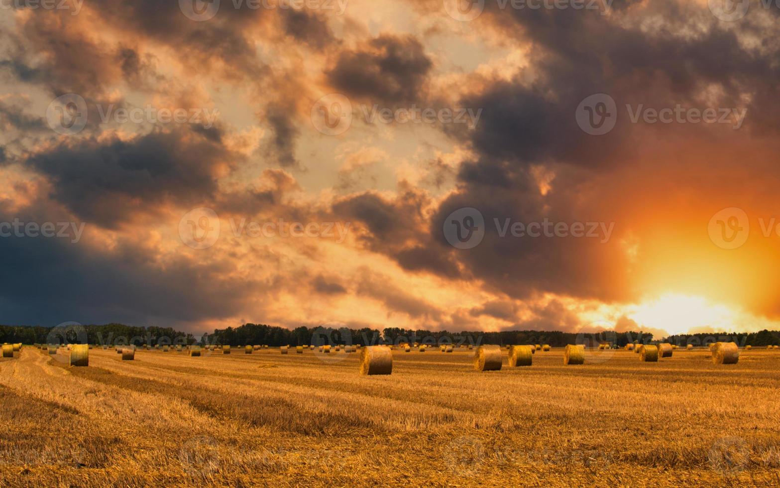 Sunset over a field of newly harvested hay photo