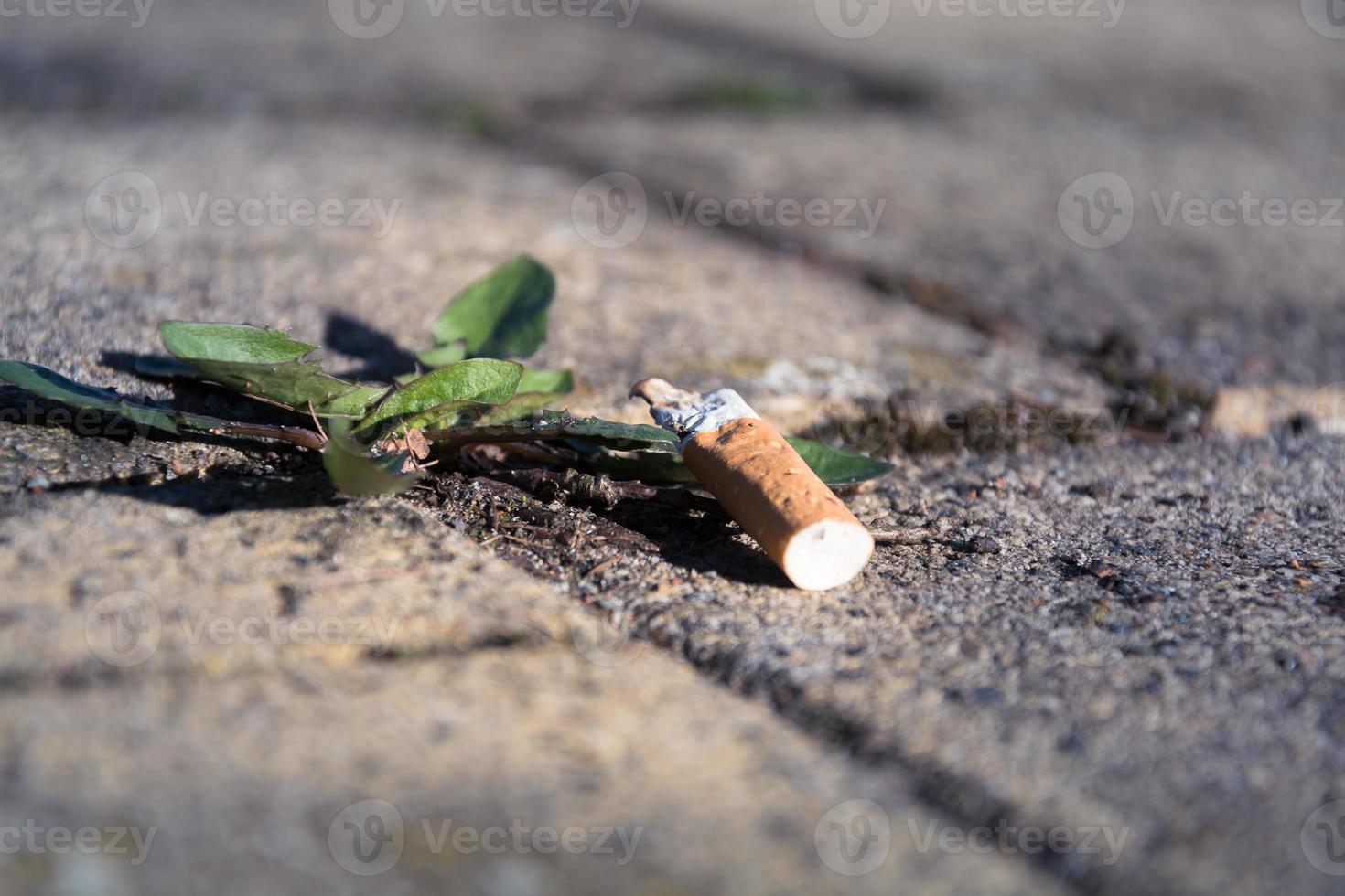 Cigarette butt lying on a pavement photo
