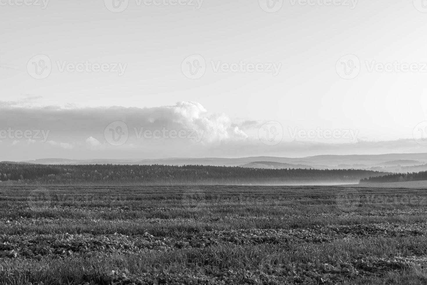 sunset over a forest landscape in black and white photo