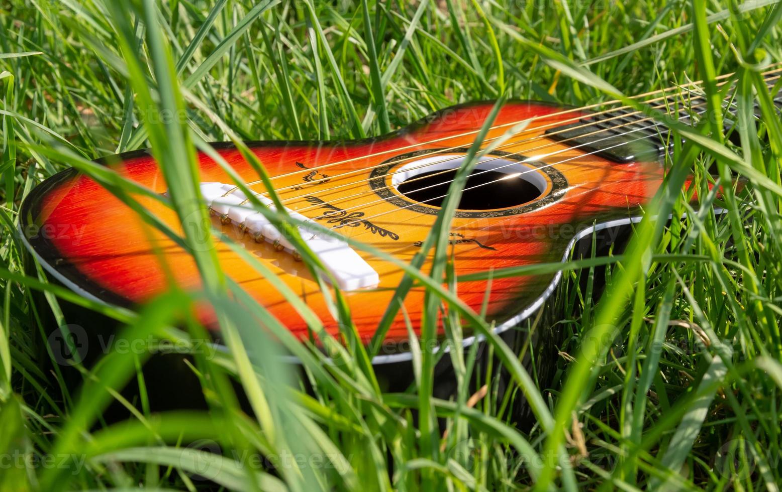 guitar in a spring meadow photo