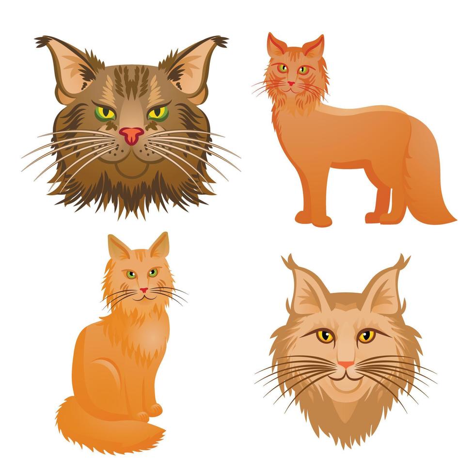 Maine coon, conjunto de iconos de estilo de dibujos animados vector