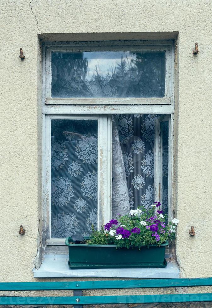 old window with flower boxes photo